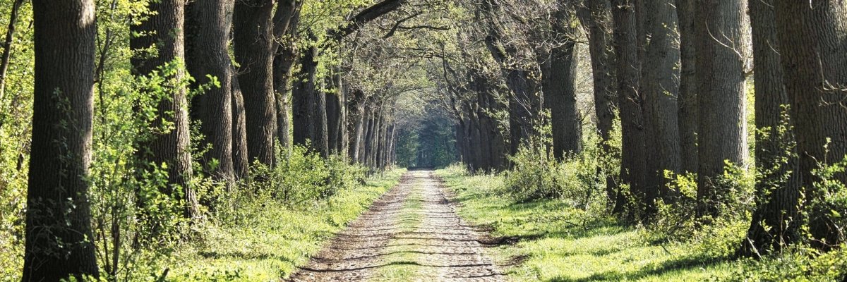 Ludmillenhof, Sitz der Samtgemeinde Sögel, denkmalgeschützt