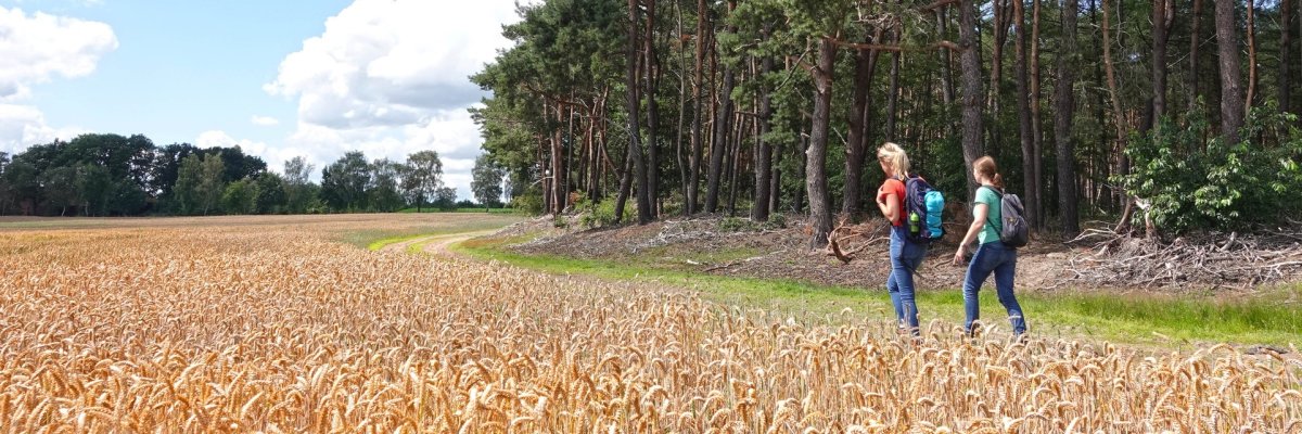 Ludmillenhof, Sitz der Samtgemeinde Sögel, denkmalgeschützt