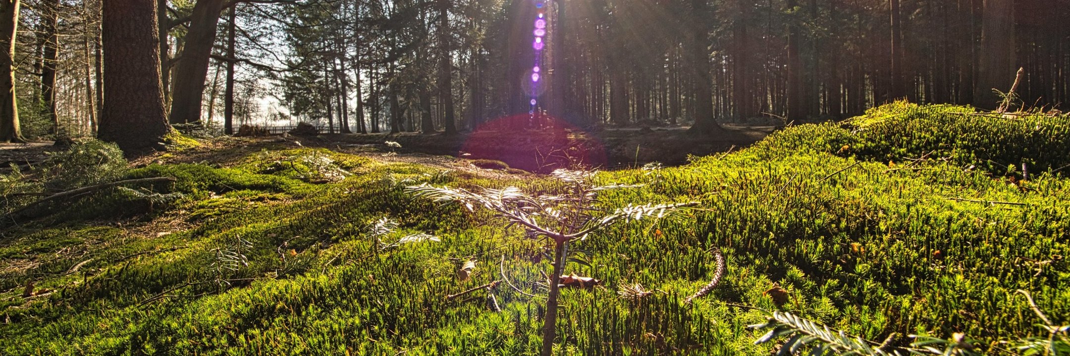 Freizeit und Kultur Samtgemeinde Sögel