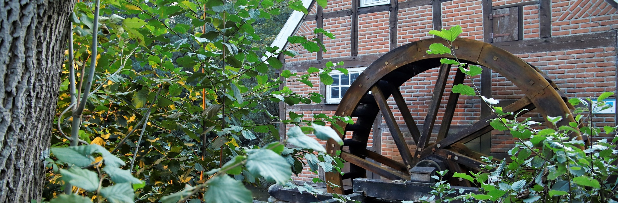 Wassermühle Bruneforth Stavern