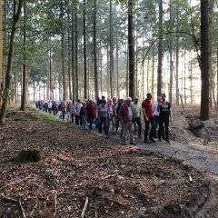 Eine Gruppe von Personen läuft auf einem Weg durch den Wald 