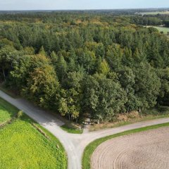 Ein Wald mit Feldern drumherum und einer Straße 