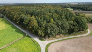Ein Wald mit Feldern drumherum und einer Straße