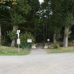 Waldeingang mit einer Infotafeln und einer Sitzbank davor 