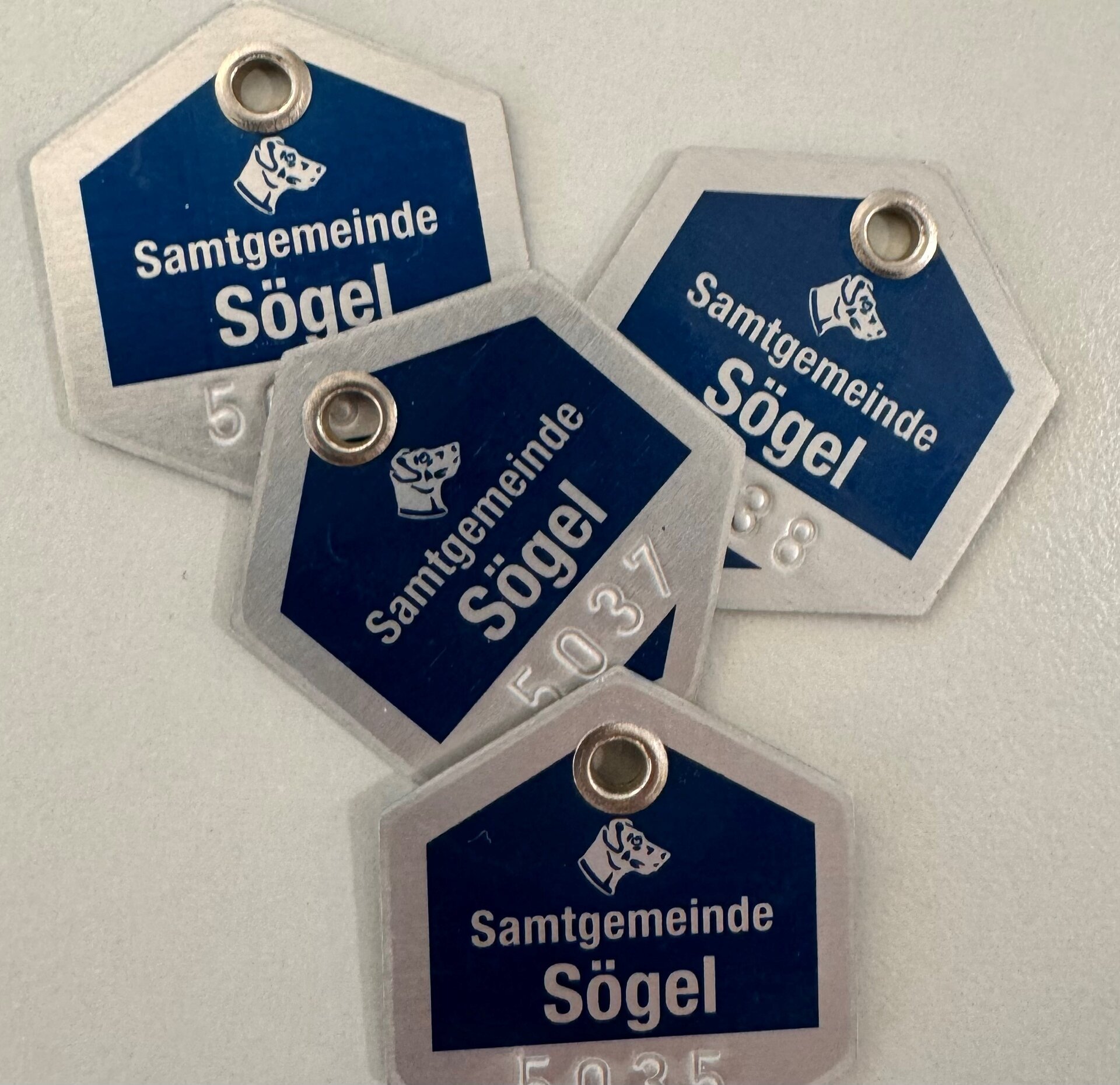 Ein Bild mit Steuermarken