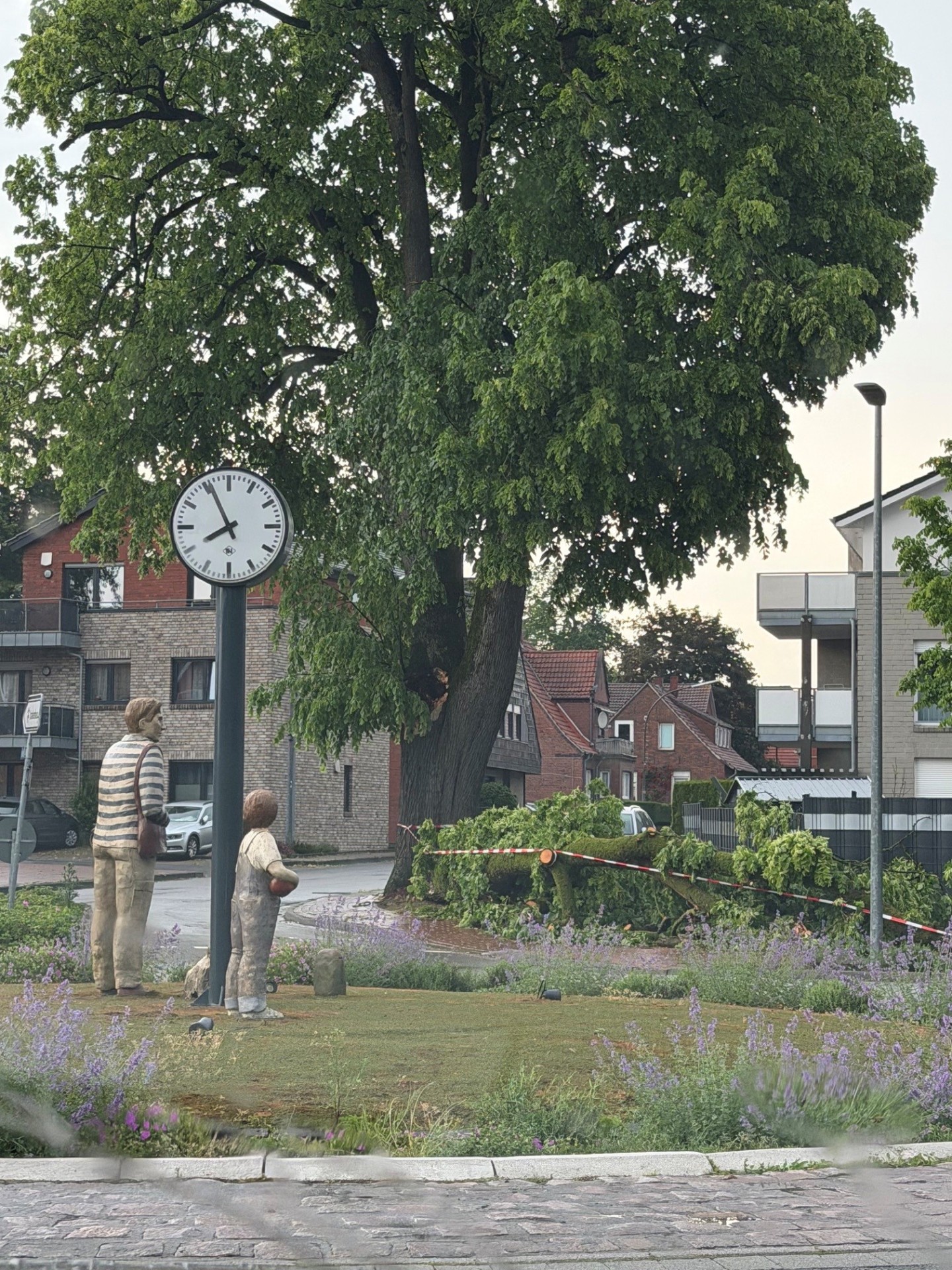 Auf dem Bild sind ein Baum und ein abgebrochener Ast zu sehen