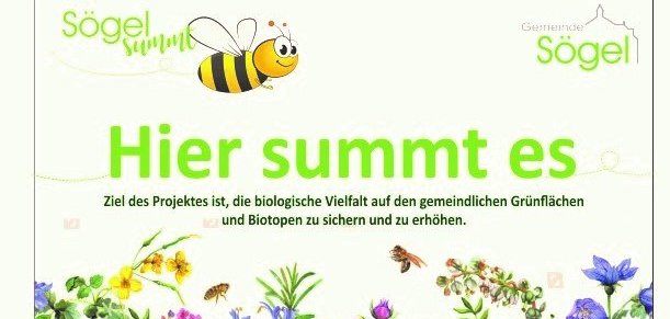 Ein Schild mit der Aufschrift: Hier summt es 