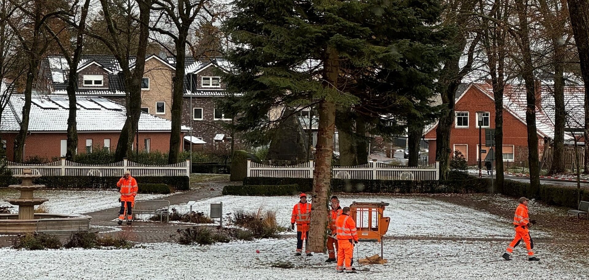 Ein Bild mit einem Tannenbaum